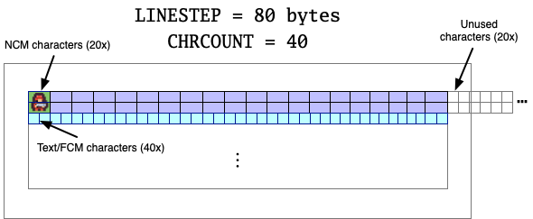 Rows of 20 NCM characters and 40 text/FCM characters, CHRCOUNT = 40, LINESTEP = 80